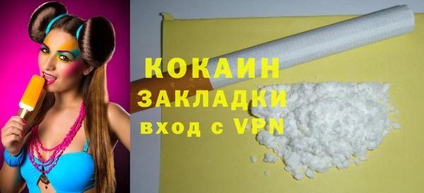 прущие грибы Абаза