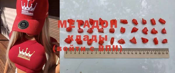 прущие грибы Абаза