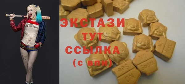 прущие грибы Абаза