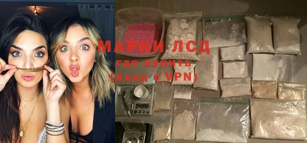 прущие грибы Абаза