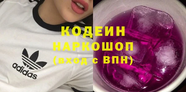 прущие грибы Абаза