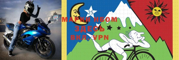 прущие грибы Абаза