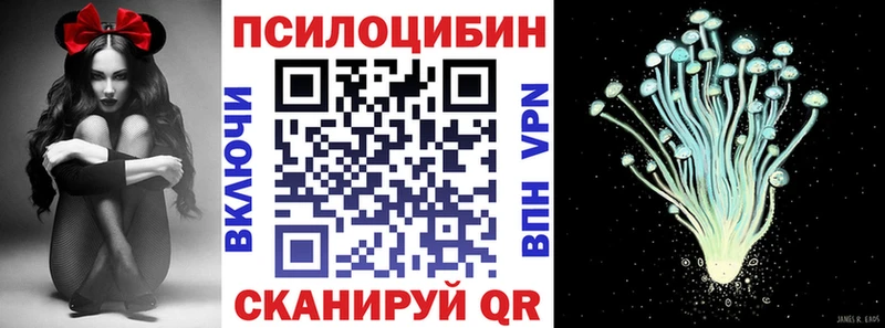 Псилоцибиновые грибы Cubensis  Барнаул 